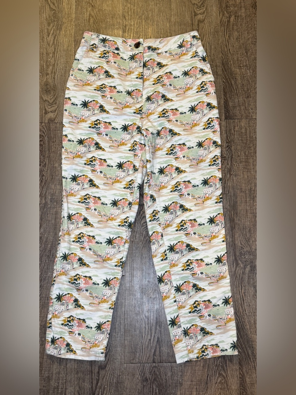 Boden Scenic Coastal Print Casual Pants‎ Sz 4